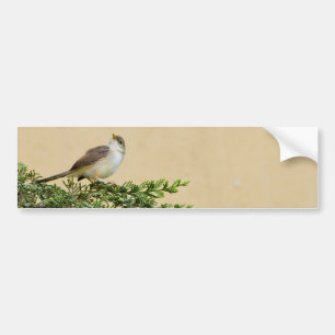 Sparrow Bildekal
