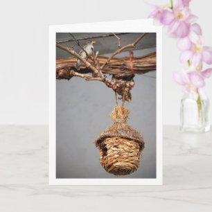 Sparrow Bird över Birdhouse Kort