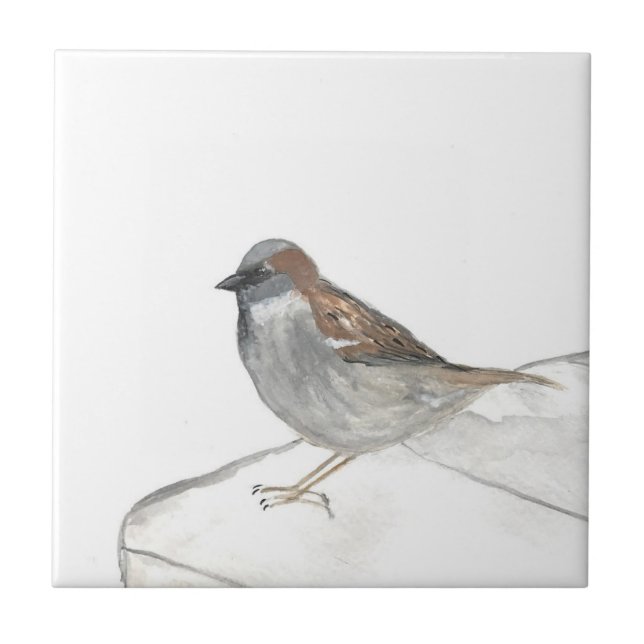 Sparrow Bird Wildlife Watercolor Nature Cute Kakelplatta (Framsidan)
