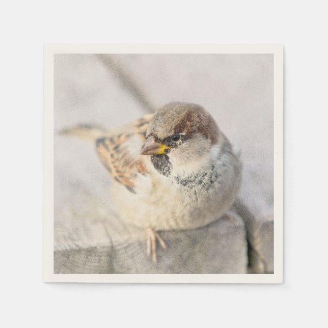 Sparrow - efter den transatlantiska pappersservett (Framsidan)