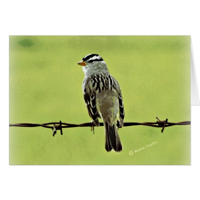 Sparrow "fågel på en binda ", hälsningskort (Framsidan Horizontal)