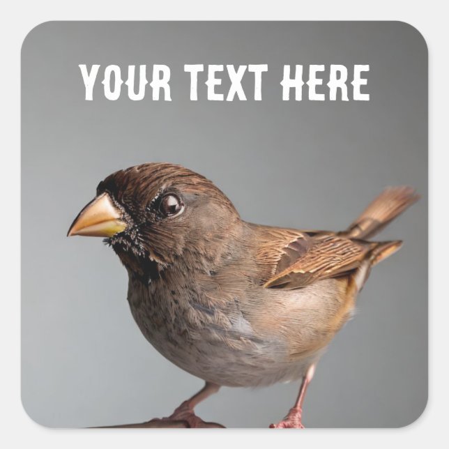 Sparrow Fyrkantigt Klistermärke (Framsida)