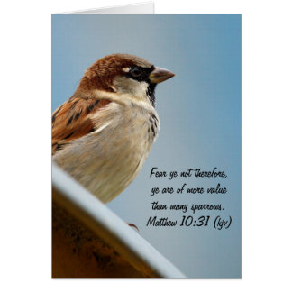 Sparrow Hälsningskort