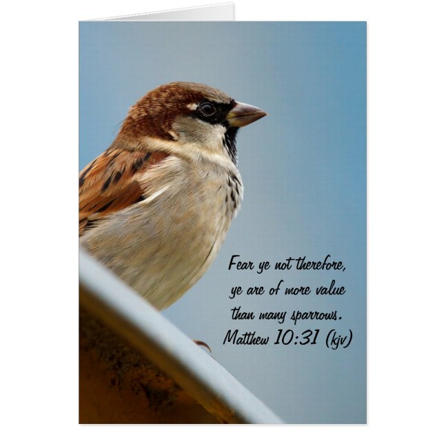 Sparrow Hälsningskort (Framsidan)