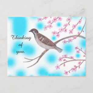 Sparrow i Cherry Blommar Träd Himmel Postcard Vykort