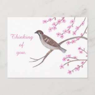 Sparrow i Cherry Blommar Träd Thinking Postcards Vykort