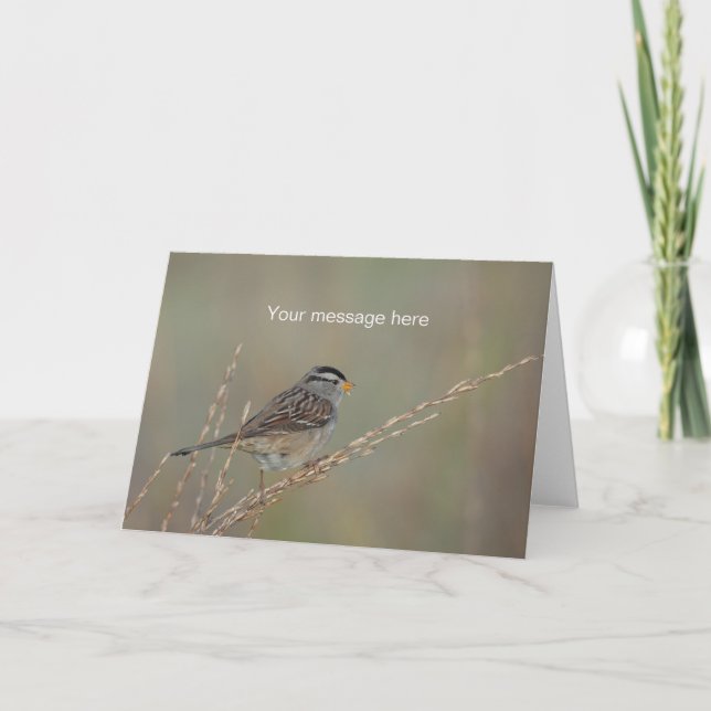 Sparrow i hälsningkortet för gräs 2 kort (Framsida)
