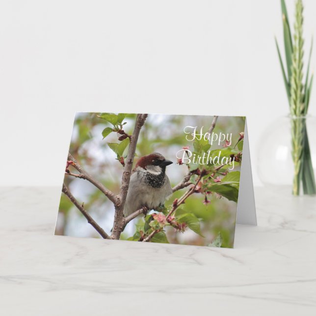 Sparrow Kort (Framsida)