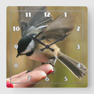Sparrow landar på min frus hand fyrkantig klocka