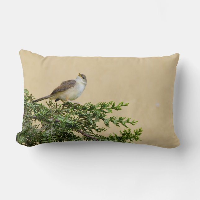 Sparrow Lumbarkudde (Framsida)
