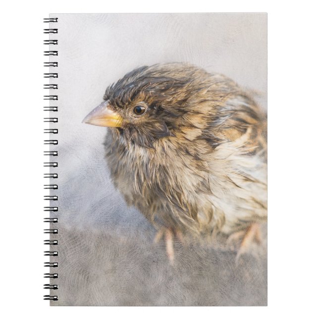 Sparrow - Misslyckas för väderprognosepic Anteckningsbok (Framsidan)