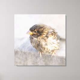 Sparrow - Misslyckas för väderprognosepic Canvastryck