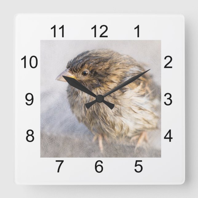 Sparrow - Misslyckas för väderprognosepic Fyrkantig Klocka (Framsida)