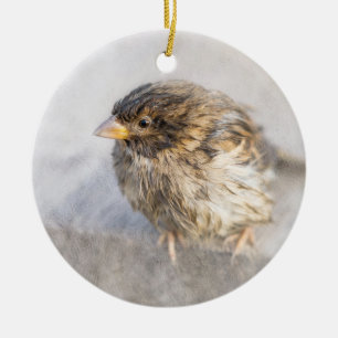 Sparrow - Misslyckas för väderprognosepic Julgransprydnad Keramik