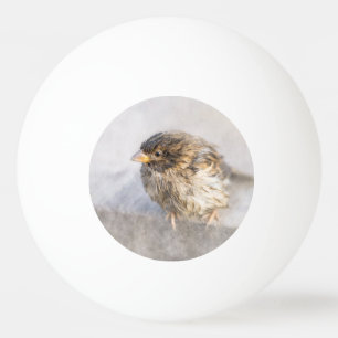 Sparrow - Misslyckas för väderprognosepic Pingisboll