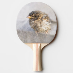 Sparrow - Misslyckas för väderprognosepic Pingisracket