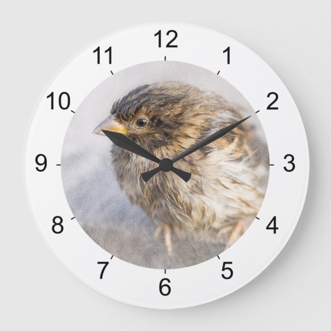 Sparrow - Misslyckas för väderprognosepic Stor Klocka (Framsida)