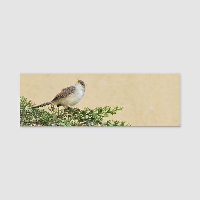 Sparrow Namnbricka (Framsida)