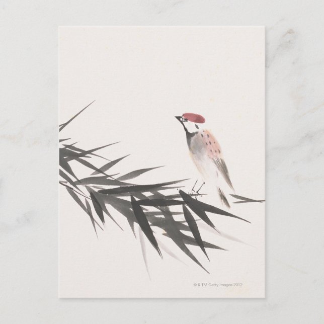 Sparrow och Bamboo Lövs Vykort (Framsida)