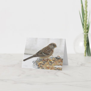 Sparrow och Silver Platter - Tomt kort