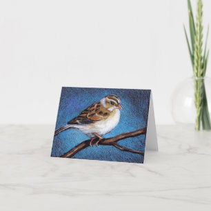 SPARROW: OLJEPASTEL: FÅGLAR: OBSERVERA KORT
