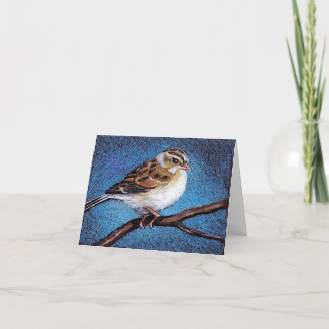 SPARROW: OLJEPASTEL: FÅGLAR: OBSERVERA KORT (Framsida)