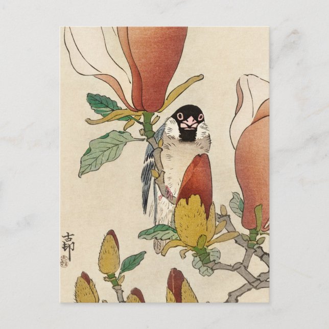 Sparrow om Blooming Magnolia Gren av Ohara Koson Vykort (Framsida)