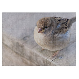 Sparrow - övervikt