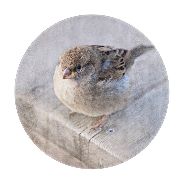 Sparrow - övervikt (Framsidan)