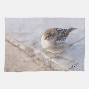 Sparrow - övervikt kökshandduk