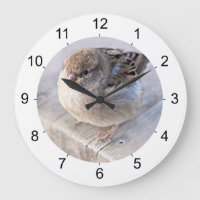 Sparrow - övervikt