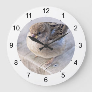 Sparrow - övervikt stor klocka