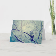 Sparrow på den snöig grenen