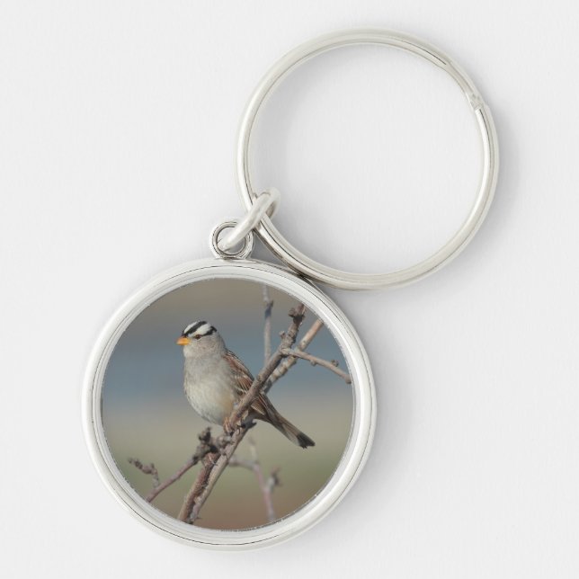 Sparrow på en gren Keychain Rund Silverfärgad Nyckelring (Framsidan)