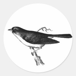 SPARROW PÅ EN KVIST KLASSISK RUND DEKALJ RUNT KLISTERMÄRKE