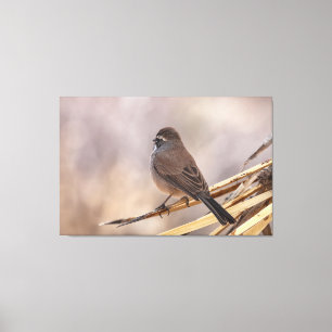 Sparrow på en Thin Gren Canvastryck