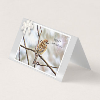 Sparrow på Gren - God jul Kort