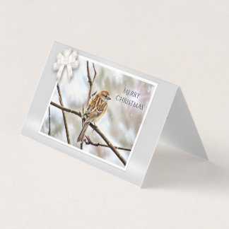 Sparrow på Gren - God jul Kort