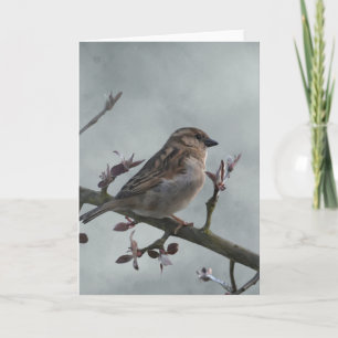 Sparrow på Gren Photo Kort
