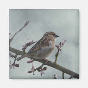 Sparrow på Gren Photo Magnet