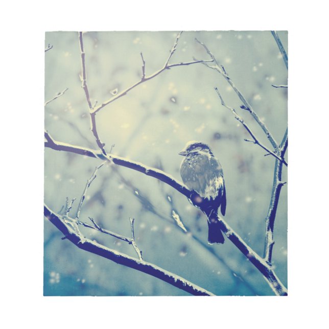 Sparrow på snöslätten gren anteckningsblock (Framsida)