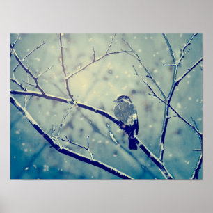 Sparrow på snöslätten gren poster