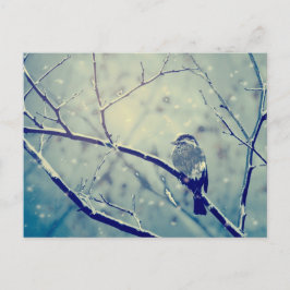 Sparrow på snöslätten gren vykort