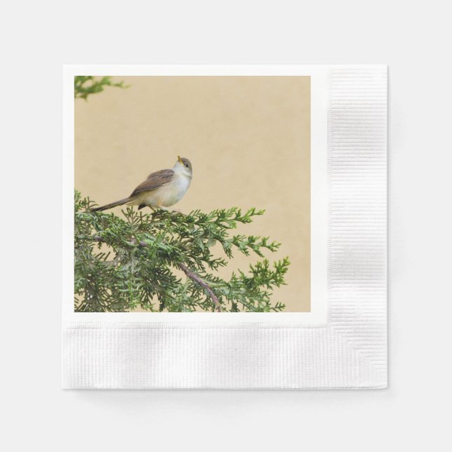 Sparrow Pappersservett (Framsidan)