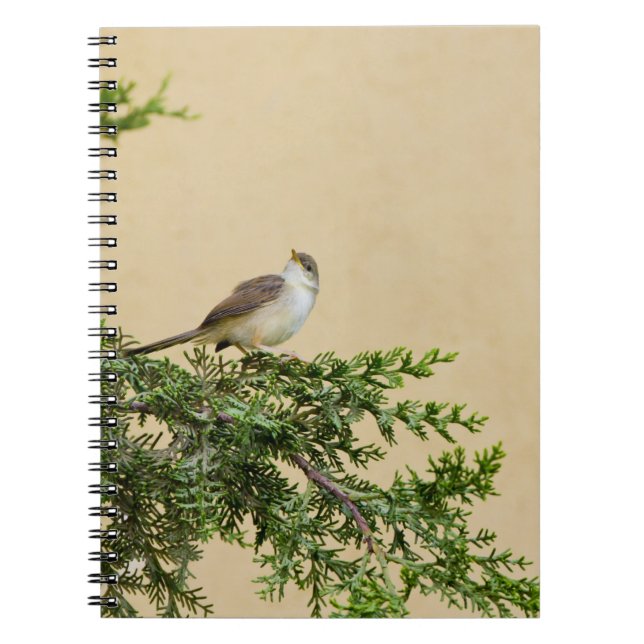 Sparrow Postkort Anteckningsbok (Framsidan)