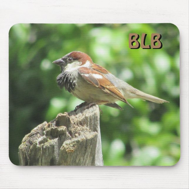 Sparrow-profil på stump med initialerna musmatta (Framsidan)