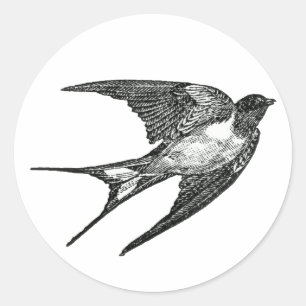 sparrow runt klistermärke