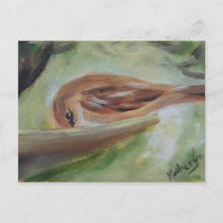Sparrow vid feeder vykort