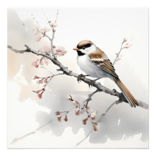 Sparrow vid Vår Gren Fototryck