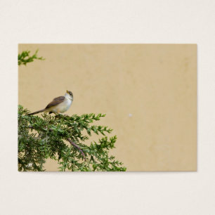 Sparrow Visitkort